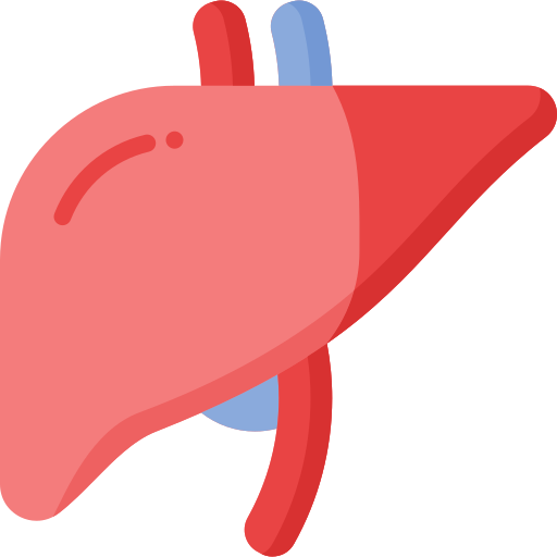 Liver Care